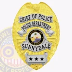 Vintage Eagle Top Shield with Floral Center, Background Rays, 4 Ribbon Text Panels, Braid Edge Badge view 1