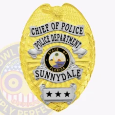 Metal custom badge in gold for sunnydale chief of police showing a detailed eagle figure atop the shield, silver banners with chief of police and police department text in black, a colorful state of florida emblem in the middle, sunnydale printed prominently below, and a silver plate featuring three stars at the bottom, fixed with a safety pin.
