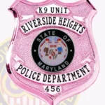 Professional Shield Badge with Textured Background, 4 Text Panels, 2 Ribbon Panels, Line Edge view 5
