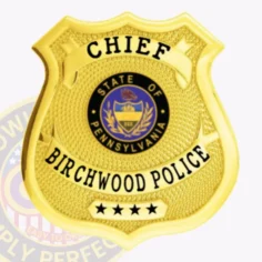 Gold custom metal shield badge for birchwood police chief featuring safety pin backing, with chief in strong black text on a curved banner at the top, a detailed state of pennsylvania circular seal in the middle, birchwood police centered below it, and four stars displayed clearly near the base.