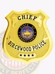 Custom gold shield metal badge for Birchwood police chief with textured gold finish and safety pin attachment, highlighting CHIEF in black letters on a curved panel at the top, a colorful State of Pennsylvania seal in the center, BIRCHWOOD POLICE below it, and four black stars printed near the bottom.