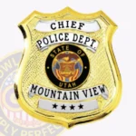 Vintage Shield Badge with Textured Background, 4 Text Panels, 2 Ribbon Panels, Line Edge view 1