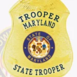 Modern Shield Badge with Eagle Top, 3 Ribboned Text Panels, Classic Lined Border view 2