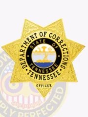 Custom metal badge in gold with safety pin attachment featuring a star shape and the words "Department of Corrections" prominently displayed. The center of the badge showcases the state seal of Tennessee, depicting a figure of agriculture with blue water below, surrounded by a circular border that reads "State of Tennessee." The badge is designed for officers, emphasizing authority and service within the corrections field.