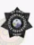 Polished silver 7 point star badge customized for Sunvale Police Officer, with ornate floral designs on each star tip, "OFFICER" atop in black letters, the Florida state emblem in the middle ringed by department text, and a safety pin fastener for easy wear.