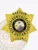 Shiny gold 7 point star metal badge for Sunvale Police Captain, displaying "1234" at the bottom, ornate leaf patterns on each star point, and a center medallion with the Florida state seal, designed with a secure safety pin back.