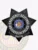 Detailed black 7 point star metal badge for Brookfields Police Emergency Response, embossed with floral motifs on each point, a central medallion featuring the State of Wisconsin emblem, white text encircling it reading "EMERGENCY RESPONSE BROOKFIELDS POLICE," and a safety pin attachment.