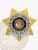Polished gold 7 point star badge for Deputy Chief of Brookfields Police, featuring ornate engravings on each star tip, central blue and gold Wisconsin seal, black text reading "DEPUTY CHIEF BROOKFIELDS POLICE," and a safety pin on the back for secure attachment.