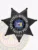 Metal badge in black shaped as a 7 point star for Oak Valley police the patrol division, with raised leaf engravings on each star tip, a central blue and gold New York state seal, and bold white text surrounding it that says “Patrol Division Oak Valley Police,” fastened by a safety pin.