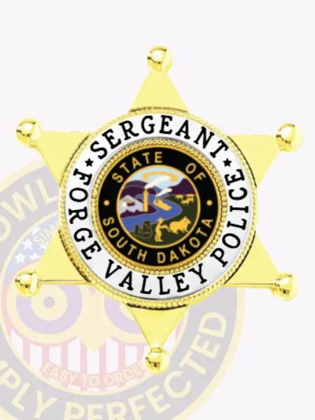 Polished gold six-point star badge custom-made for Forge Valley Police Sergeant, highlighting the South Dakota state seal in the center with bold black text around it, attached with a safety pin for secure wear.