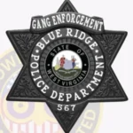 Traditional 6 Pointed Star with Laurel Accents, Top Ribbon, 4 Text Panels, Lined Border Badge view 4