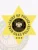 Polished gold six-point star badge custom-made for Twin Oaks Police Chief of Police, highlighting the Louisiana state seal at the center with clear black text around it, accented by three black stars below, attached with a safety pin for secure wear.