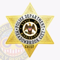 Custom gold 6 point star metal badge for meadowbrook city police chief, featuring ornate leaf engravings on each star point, a white circular ring with black text reading “police department meadowbrook city” surrounding the mississippi state seal, and a gold banner at the bottom labeled “chief,” with a safety pin attachment.
