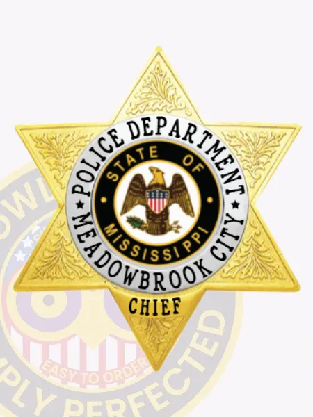 Gold metal badge shaped as a 6 point star for Meadowbrook City Police Chief, showcasing detailed leaf patterns on the star points, a white ring encircling the colorful Mississippi state emblem with department name in black letters, and a gold plate at the bottom reading “CHIEF,” equipped with a safety pin fastener.