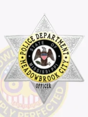 Silver 6 point star metal badge for Meadowbrook City Police Officer, displaying a gold circle encircling the Mississippi state seal with black text for department and city, textured leaf details on the star points, and an “OFFICER” label on a silver banner at the bottom, equipped with a safety pin.