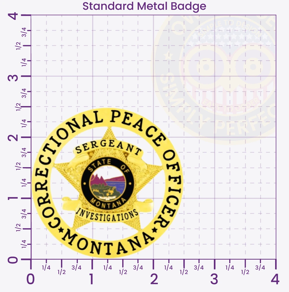 19-A1CB Custom Corrections Badges Correctional Badges Prison Badges Jail Badges Gold 2.5 Standard