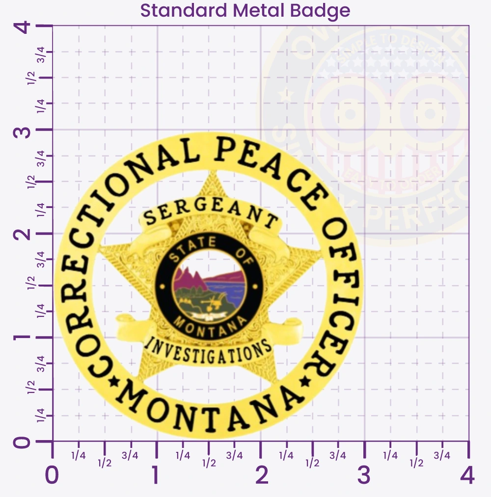 19-A1CB Custom Corrections Badges Correctional Badges Prison Badges Jail Badges Gold 3 Standard
