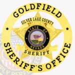 Traditional 5 Pointed Star Sheriff Badge in Circle Banner with Laurel Accents, 4 Text Panels, 2 Ribbons view 1