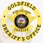 Traditional 5 Pointed Star Sheriff Badge in Circle Banner with Laurel Accents, 4 Text Panels, 2 Ribbons view 2