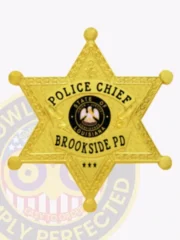 Detailed gold 6 point star police badge for Brookside Police Chief, featuring black text on a raised banner reading “POLICE CHIEF,” the colorful Louisiana state seal at center encircled by department name, ornate leaf engravings on the star points, and a safety pin attachment.