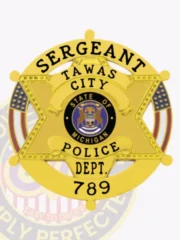 Gold six-point star metal badge for Tawas City Police Sergeant, showing a circular banner with black text around the star, including "Sergeant," "Tawas City," and "Police Dept.," centered by the Michigan state emblem, attached with a safety pin.