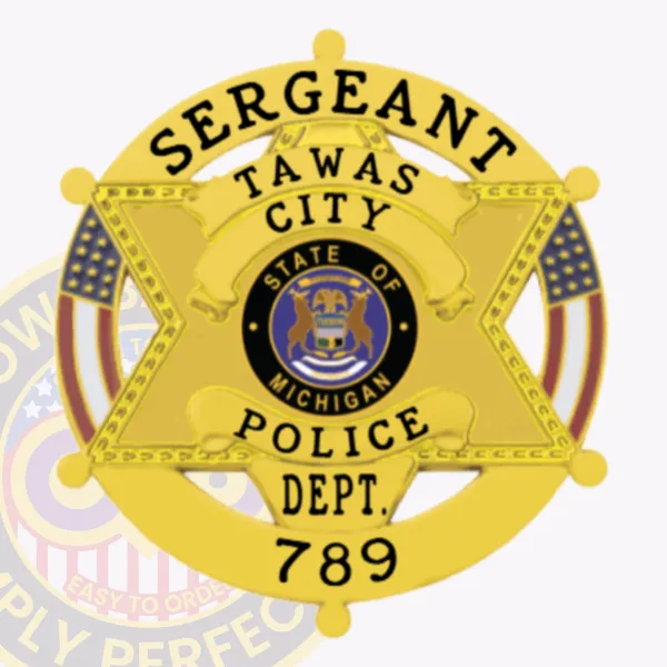 Tawas City Police Sergeant badge in gold metal, shaped as a six-point star with a circular banner reading "Sergeant" and "Michigan," featuring the official Michigan state seal in the center and secured with a safety pin.