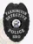 This image displays a polished custom metal badge in black, adorned with the inscription "STATE OF MAINE." The inclusion of a safety pin attachment provides a practical option for officials needing to showcase their identification while maintaining professionalism.