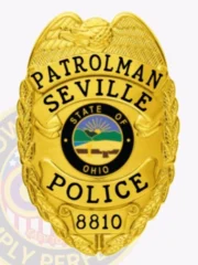 A gleaming custom metal badge in gold, featuring a shield shape with ornate detailing. The badge prominently displays "PATROLMAN SEVILLE" at the top and "POLICE" beneath it, both in bold black letters. In the center, the state seal of Ohio is depicted, showcasing a rising sun over a landscape within a circular black backdrop. The badge also includes the number "8810" at the bottom. The polished surface of this custom metal badge in gold enhances its elegance and authority, making it a distinguished symbol of law enforcement.