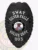This image illustrates a custom metal badge in black color, prominently featuring "SWAT Silver Falls Police Dept." The badge’s intricate design includes a central state emblem and is fitted with a safety pin attachment for effortless fastening.