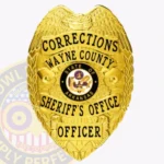 Traditional Corrections Shield Badge with Eagle Top, Floral Motifs, Rays Background view 1