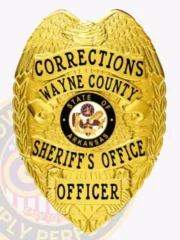 A custom metal badge in a bright gold color, shaped like a shield, representing the Wayne County Sheriff's Office for Corrections. The badge prominently displays "CORRECTIONS" at the top, followed by "WAYNE COUNTY" in bold lettering. In the center, it features the state seal of Arkansas, surrounded by decorative elements. The badge reads "SHERIFF'S OFFICE" and "OFFICER" at the bottom, and includes a safety pin attachment on the back, allowing for secure wear by correctional officers, emphasizing its functional design and significance.