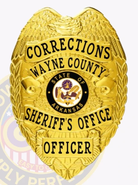 A custom metal badge in a bright gold color, shaped like a shield, representing the Wayne County Sheriff's Office for Corrections. The badge prominently displays "CORRECTIONS" at the top, followed by "WAYNE COUNTY" in bold lettering. In the center, it features the state seal of Arkansas, surrounded by decorative elements. The badge reads "SHERIFF'S OFFICE" and "OFFICER" at the bottom, and includes a safety pin attachment on the back, allowing for secure wear by correctional officers, emphasizing its functional design and significance.