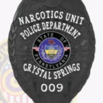 Traditional Eagle Top Shield Badge with Sunburst Background, 4 Text Panels, Reef Edge view 4