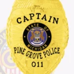 Contemporary Eagle Top Badge with Starburst Background, 3 Panels, Laurel Edge Border view 2