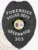Greenwood Police Forensics custom black metal badge showcasing an eagle with spread wings atop the shield, black banners with white text highlighting the forensic unit and department name, centered around a multicolor South Carolina state seal, designed with a safety pin fastener.