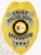 Gold metal badge for Greenwood Police Chief displaying an eagle motif atop the shield, silver banners with bold black text reading "CHIEF," "POLICE DEPT.," and "GREENWOOD," surrounding the colorful South Carolina state insignia, finished with three black stars on a silver bottom plate and secured with a safety pin.