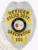 Silver metal badge with an eagle perched at the top, customized for Greenwood Police Officer, displaying black lettering on curved yellow scrolls stating "OFFICER," "POLICE DEPT.," and "GREENWOOD," with the number "101" on a yellow plate at the bottom, encircling the vibrant South Carolina state emblem, secured by a safety pin.