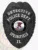 Detailed black police badge for Springfield Detective, featuring an eagle at the top, bold white text "DETECTIVE POLICE DEPT." around the Illinois seal, and "SPRINGFIELD IL" on the bottom plate, secured with a safety pin.