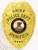 Springfield Police Chief custom gold metal badge with an eagle figure on top, black text bands saying "CHIEF," "POLICE DEPT.," and "SPRINGFIELD," a colorful Illinois seal in the center, and four stars at the bottom, designed with a safety pin attachment.