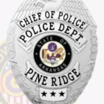 Classic Eagle Top Badge with Smooth Background, 4 Text Panels, Laurel Edge view 2