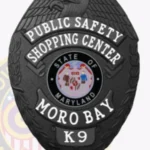 Public Safety Badge 2-C14PSB view 4