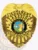 Gold metal badge for Lakeside Police Lieutenant displaying an eagle motif atop the shield, gold banners with bold black text reading "LIEUTENANT," "LAKESIDE," and "POLICE DEPARTMENT," surrounding the colorful California state insignia, finished with a safety pin for secure wear.