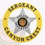 Modern 5-Pointed Star Shield Badge in Circle Banner view 1