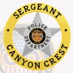 Modern 5-Pointed Star Shield Badge in Circle Banner view 2