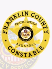 This distinctive custom metal badge in gold color features a detailed star at its core, surrounded by the inscriptions "FRANKLIN COUNTY" and "CONSTABLE." The badge also includes "HOLLINS TOWNSHIP" and the emblem of Arkansas, designed with a safety pin attachment for secure and convenient use.