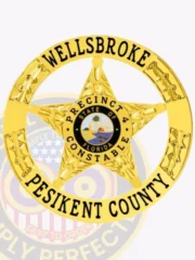 This elegant custom metal badge in gold color showcases a five-pointed star surrounded by finely crafted outlines. The words "PRECINCT 4" and "WELLSBROKE" are boldly displayed along the edges, while the central circle highlights the state seal of Florida, making this badge a distinctive piece with a safety pin attachment for secure fastening.