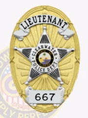 Custom Clearwater police lieutenant gold oval metal badge with polished gold background and sunray texture radiating from a central silver five-point star containing the Florida state seal, white text banners reading LIEUTENANT and 667, designed with safety pin attachment.