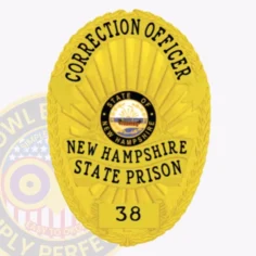 Close up of a custom metal badge in gold with safety pin attachment, designed for a correction officer at the new hampshire state prison. The badge features a vibrant state emblem at its center, surrounded by the text "correction officer" at the top and "new hampshire state prison" at the bottom. Its polished gold finish reflects light beautifully, enhancing its authoritative presence, while the safety pin attachment ensures it can be securely fastened to uniforms for easy visibility.