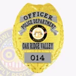 Modern Eagle Top Shield Badge with Sunburst Background, 4 Text Panels, Reef Border view 1