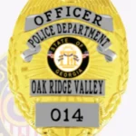Modern Eagle Top Shield Badge with Sunburst Background, 4 Text Panels, Reef Border view 2